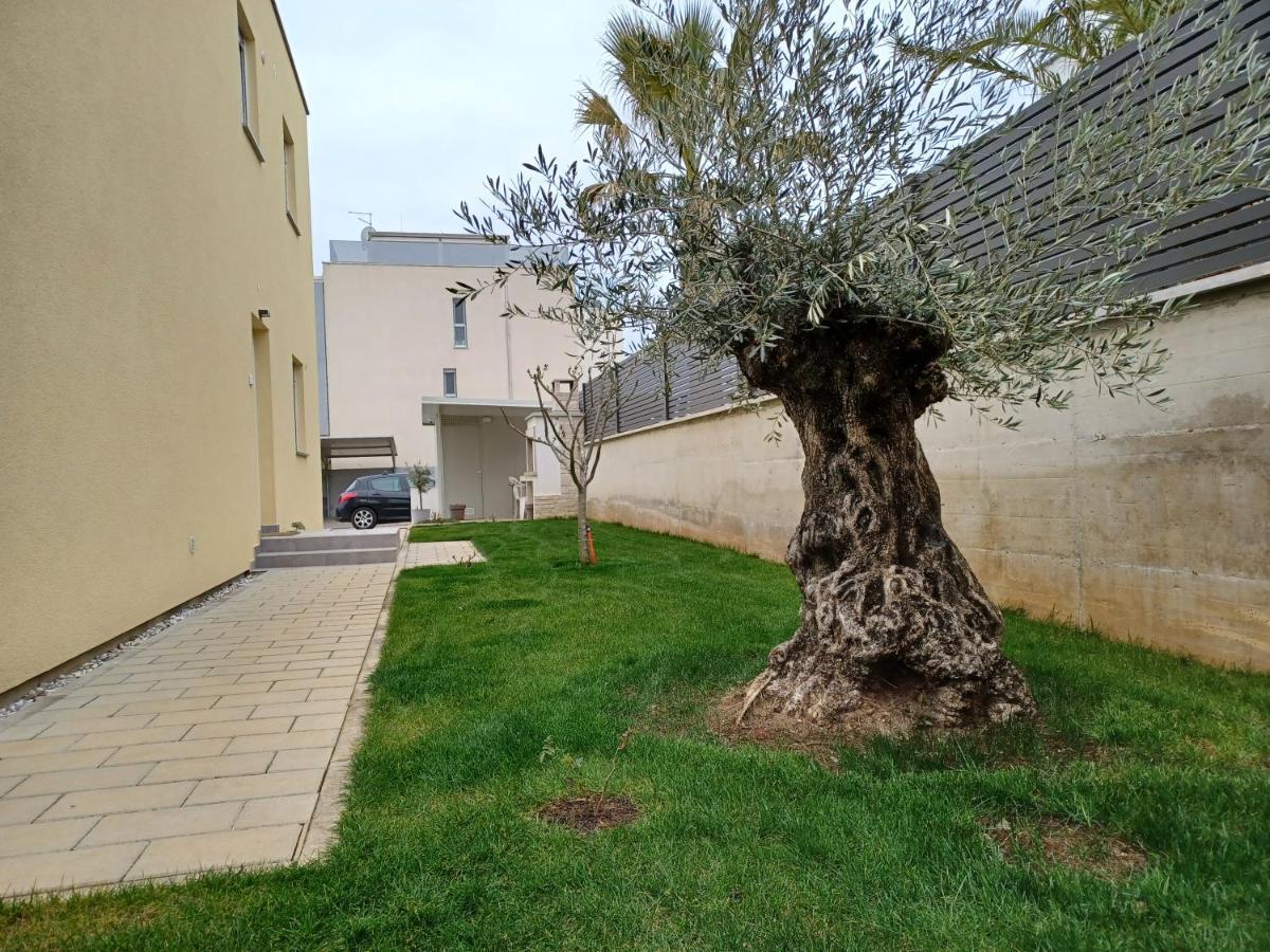 Apartments Leon 2 Novigrad Istria 외부 사진